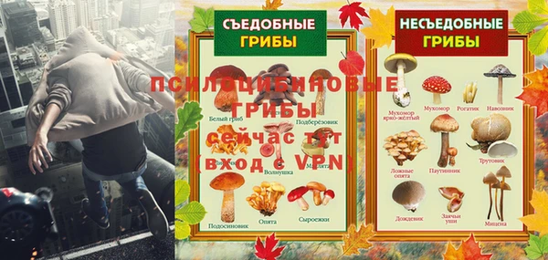 ALPHA PVP Богородск