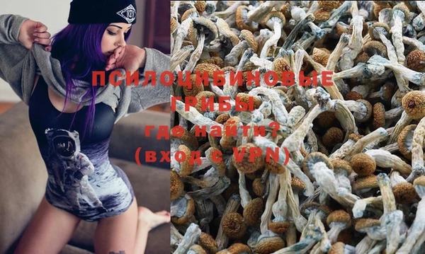 не бодяженный Богородицк
