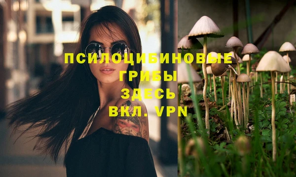 не бодяженный Богородицк
