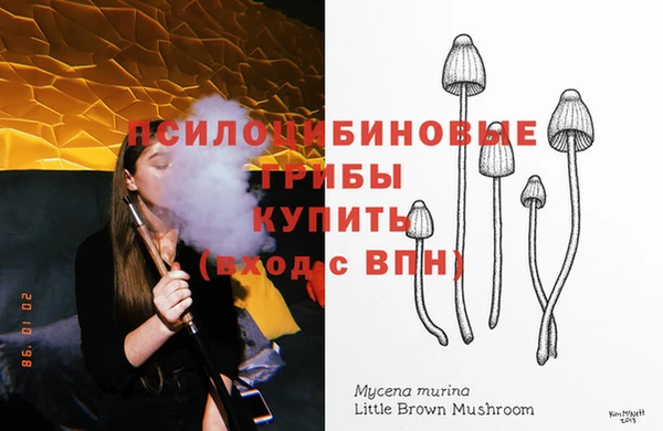 каннабис Беломорск