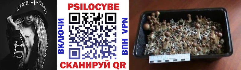 Галлюциногенные грибы Magic Shrooms  ссылка на мегу   Дмитровск 